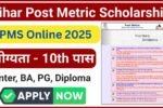 PMS Online 2025
